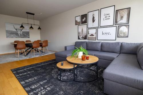 Cozy spacious apartment