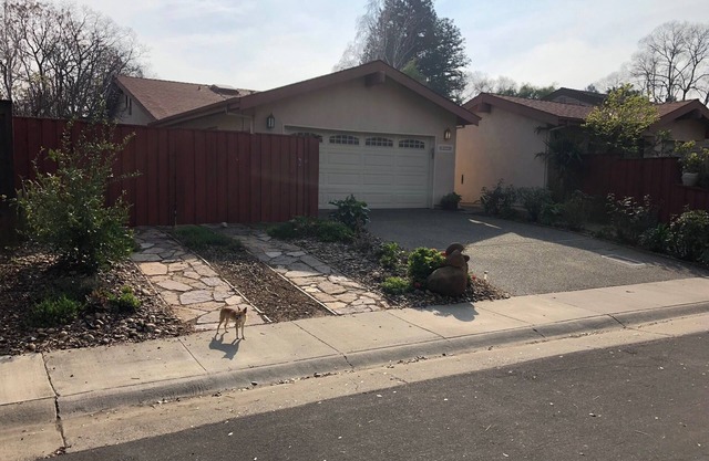 Cozy studio in Davis for you and your pet