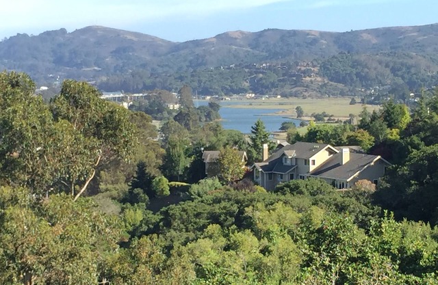 Cozy Studio In The Hills Of Mill Valley.