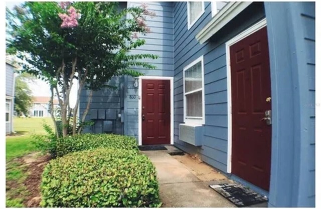 Cozy Studio Near Disney & Margaritaville