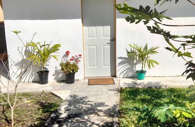 Cozy studio with car rental available!