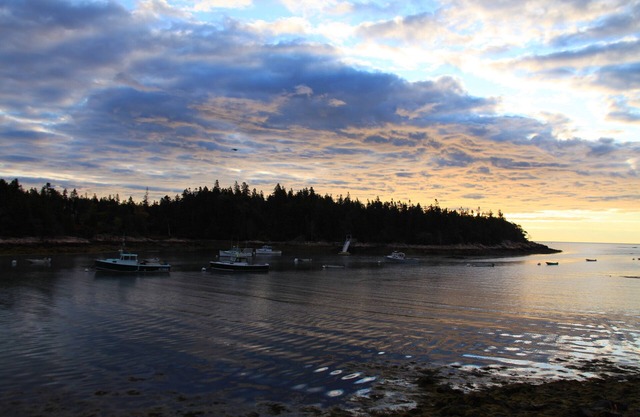 Cozy studio with spectacular views of Bunker's Harbor in Birch Harbor!