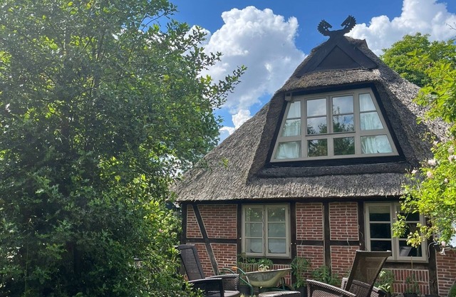 Cozy thatched cottage on the Elbe