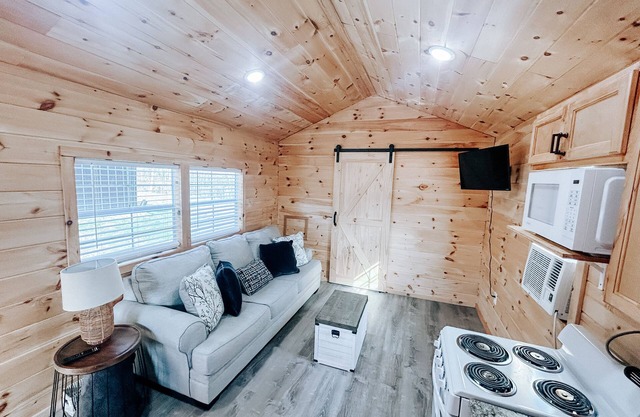 Cozy tiny cabin in Petros -Windrock