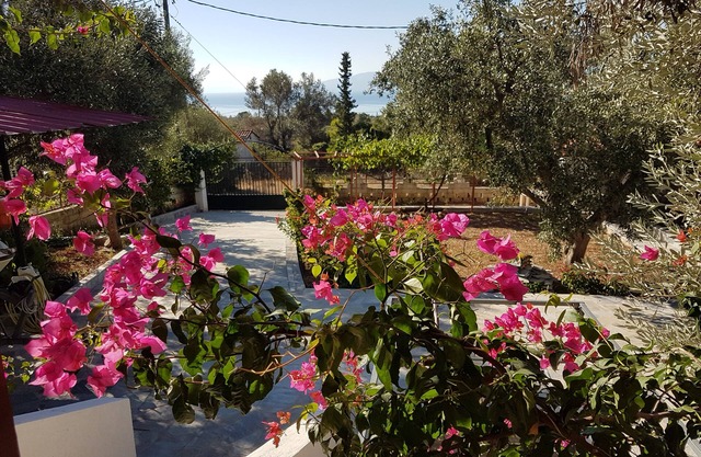 Cozy vacation apartment Panorama1