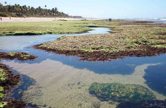 Cozy villa at 200 m from a beautiful beach