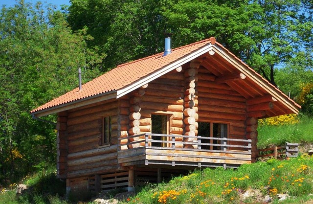 Cozy wooden chalet with wood stove and internet in Saint-Martin-la-Sauveté