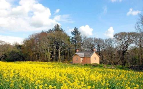 Creek Cottage - get away from it all that this stunning cottage