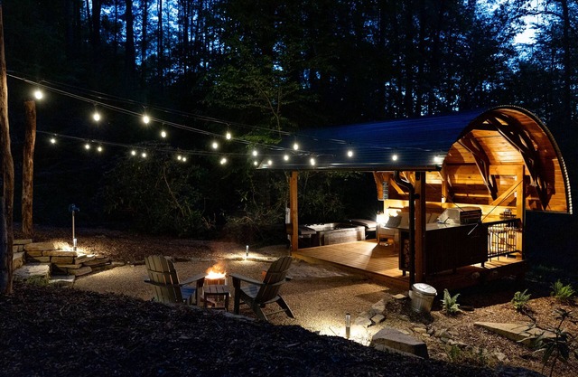 Creekside Fern in Pisgah Forest