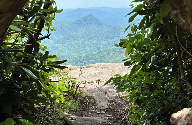 Creekside in the Smoky Mtns.nhas a rejuvenating quality. Something we all need!