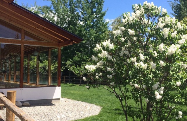 Custom European Home with large fenced yard