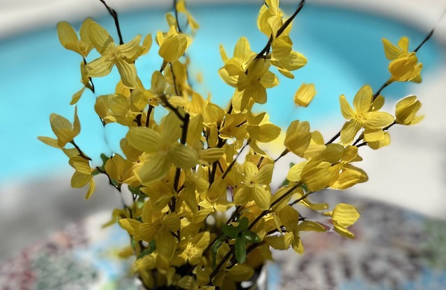 Cute, Bright home with pool