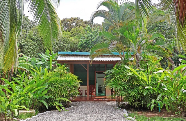 Cute Cabaña on 3 Beachfront Acres, Playa Carbonera