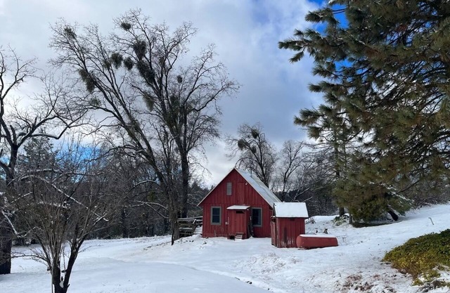 Cute, Cozy, Private, Little Red Cabin right outside Kings Canyon National Park