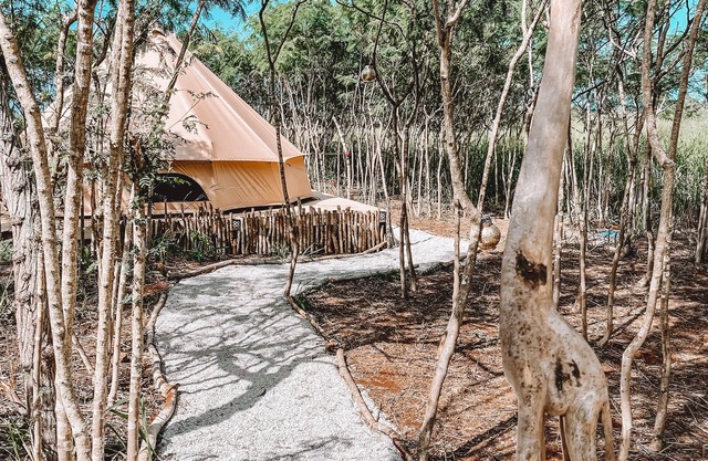Cute Off Grid Bell Tent with WIFI - 5 min from Haleiwa!