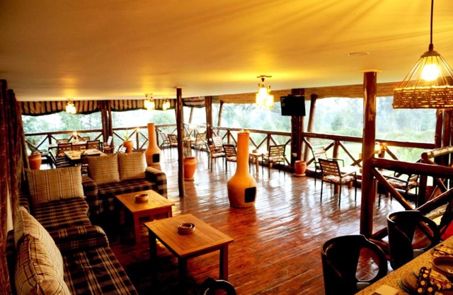 Da Vinci Gorilla Lodge