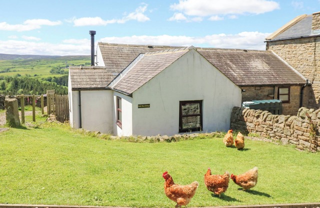 DALE VIEW COTTAGE, pet friendly, with open fire in Allendale