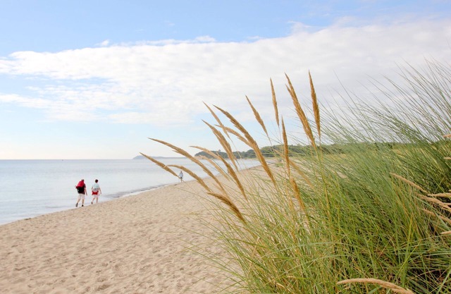 Das Ferienhaus Rohrweihe in Gager auf Rügen