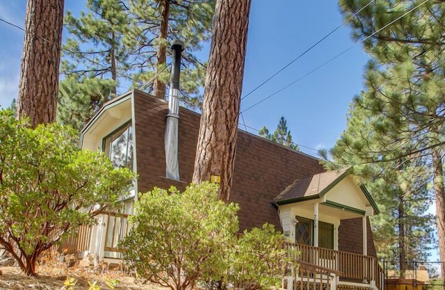 Decorated for Christmas! Walk to Snow Summit! Pet friendly!