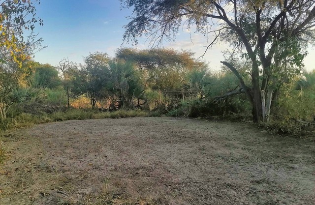 Delightful campsite in nature between Maun & Moremi