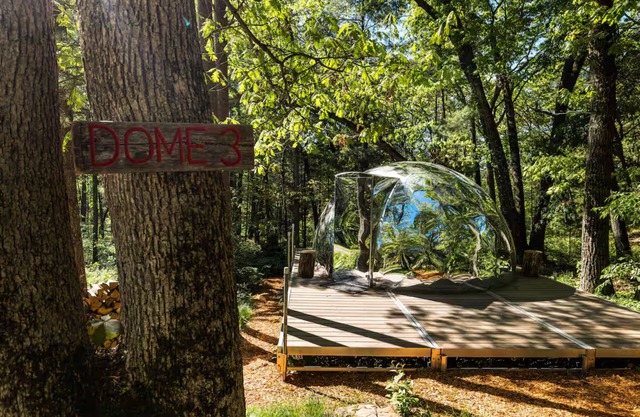 Dells Domes- Woodland Haven -Dome 3