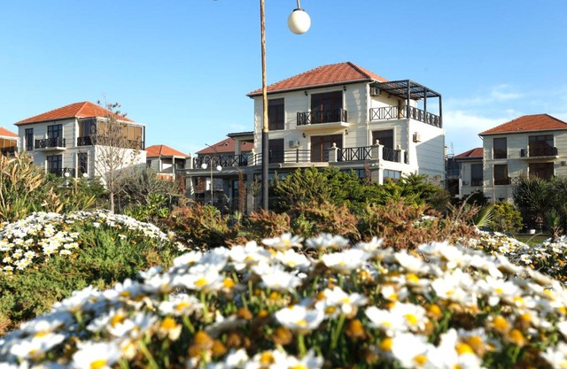 Delmar Luxury Residence