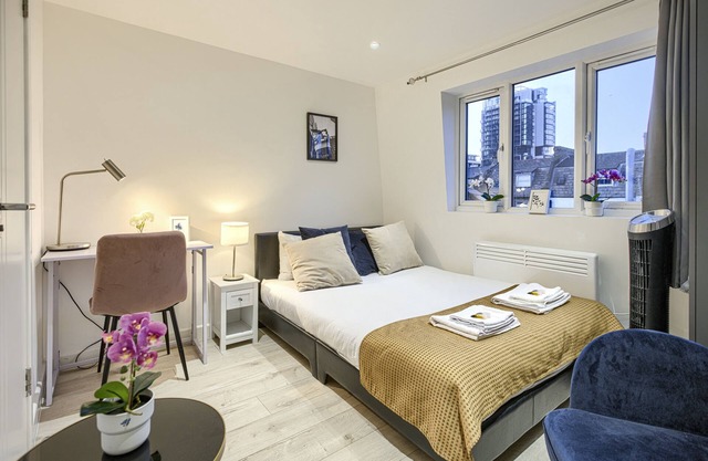 Deluxe Studio with City View-10