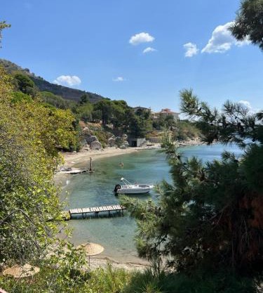 Denizevi Karvunyi