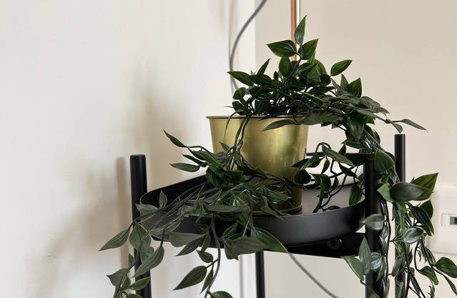 Depa en la Zona Cosmopolita de Cdmx