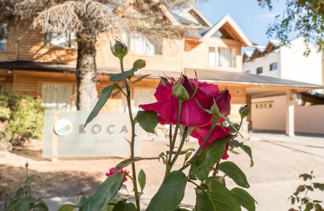 Departamento Roca I - ubicacion perfecta