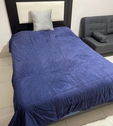 Departamento Céntrico Alameda