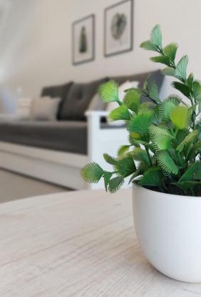 Departamentos del Trébol