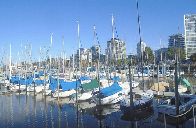 Depto Olivos Zona Puerto