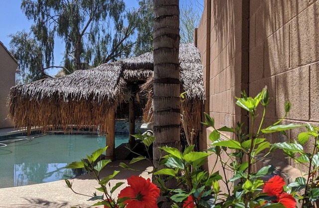 Desert Oasis Family Retreat