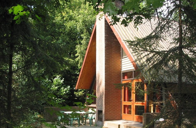 Detached wooden bungalow with microwave surrounded by nature