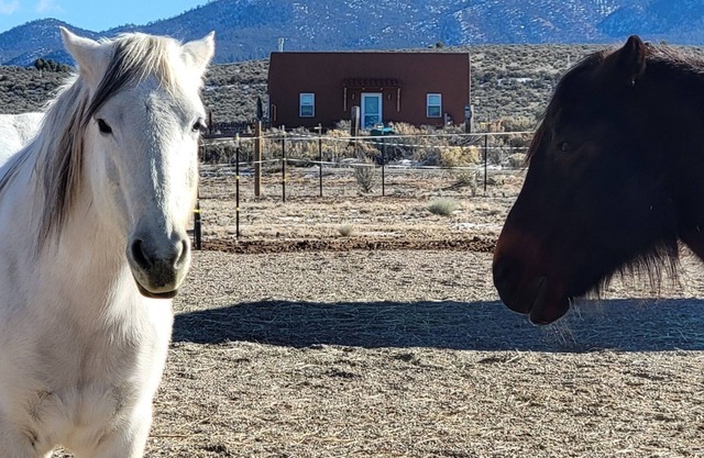 Devine Casita - Stunning 360 Views! Dogs OK - Sweet Casita <1 mile to Trails