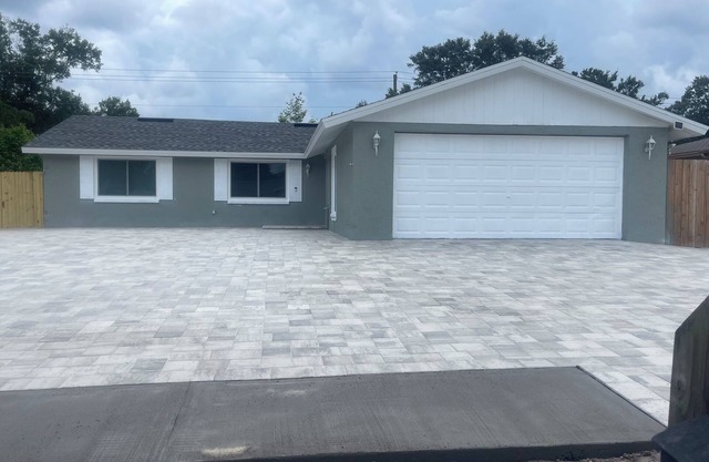 DFGmoments#2/Northdale/Citrus Park Mall