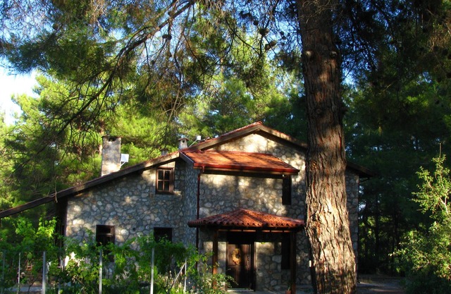 Dikencik Cottages