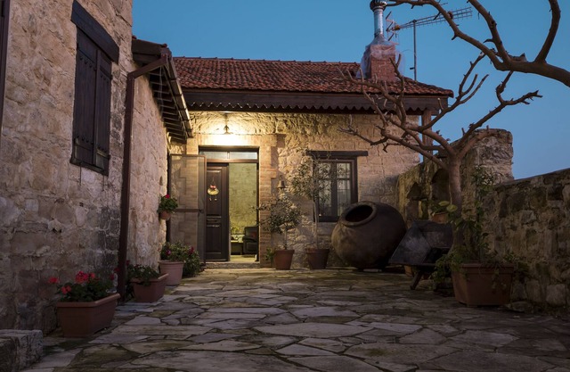 DIONI PALACE - ENHANCE YOUR SENSEs