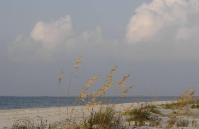 Direct Beach Front, Beach/Ocean View, 2 Pools, Stylish, Comfortable & Relaxing