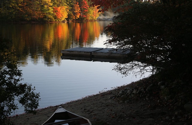 DIRECT Lake Waterfront - Peace and quiet; dog friendly!