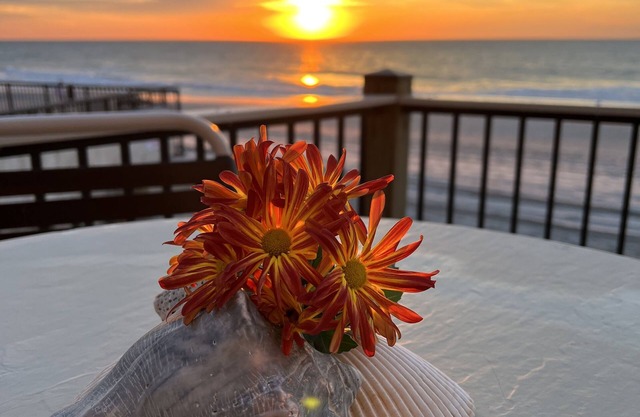 Direct Ocean Front! Beautiful Cabana End Unit GROUND FLOOR.rare find!