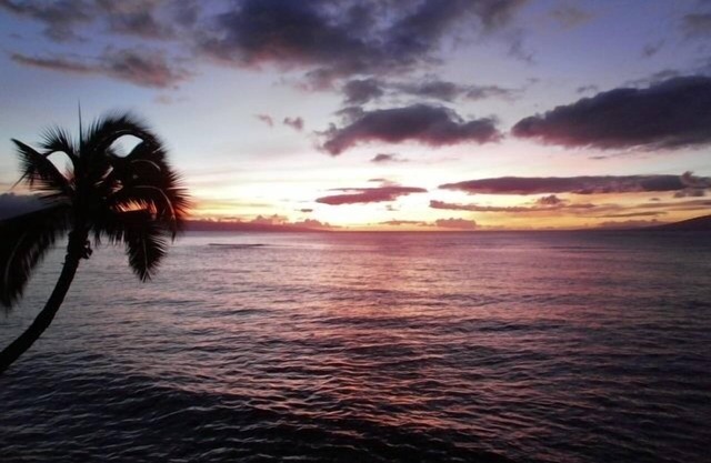 Direct Oceanfront - Intimate, Contemporary Studio Condo