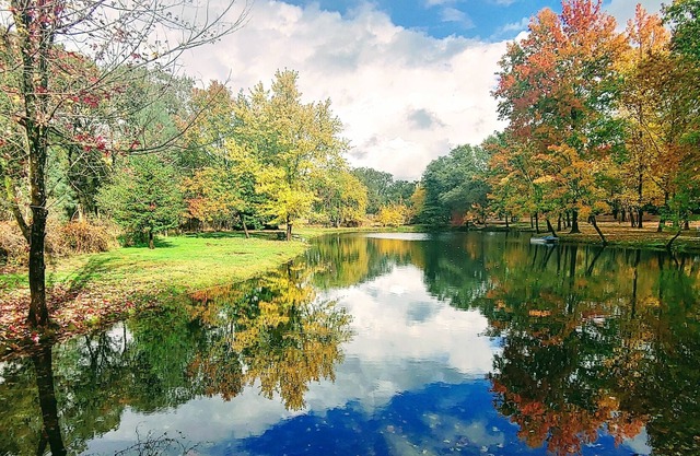 Discover Private Lakehouse 100 acre Farm Folsom Lake