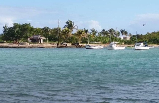 Doña Erlinda Tropical Dream