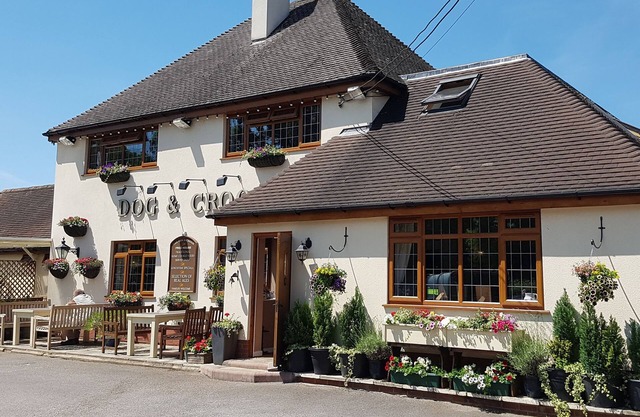 Dog & Crook Braishfield