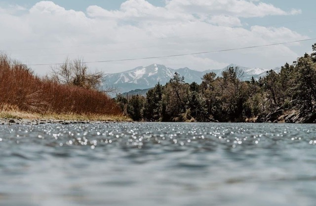 Dog Friendly Blue Bottle Trout Camp - Gold Medal Fly Fishing on the Arkansas River!