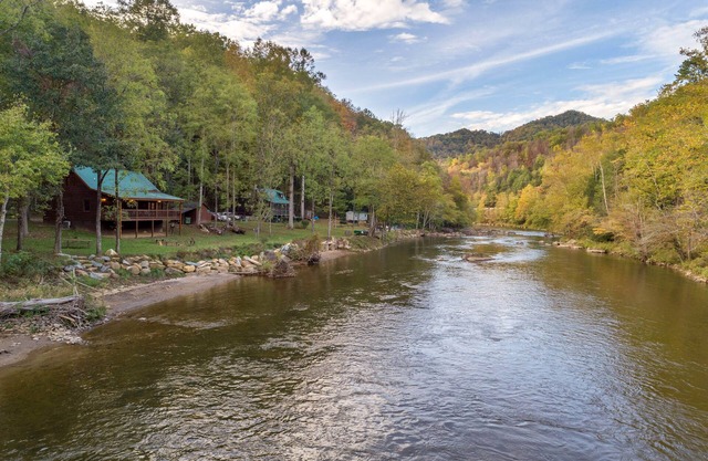Dog-friendly cabin with riverfront access - great for fishing