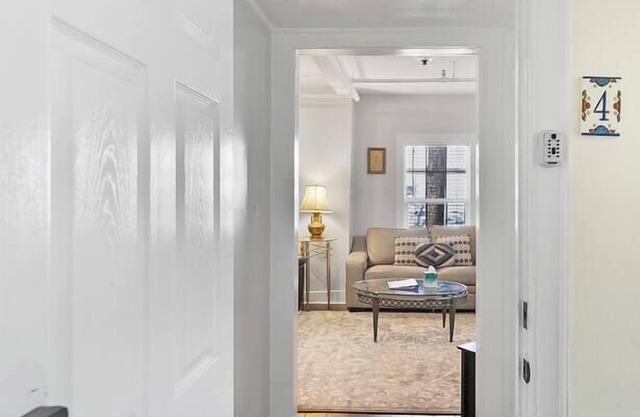 Dog-friendly renovated downtown apt FREE BIKES