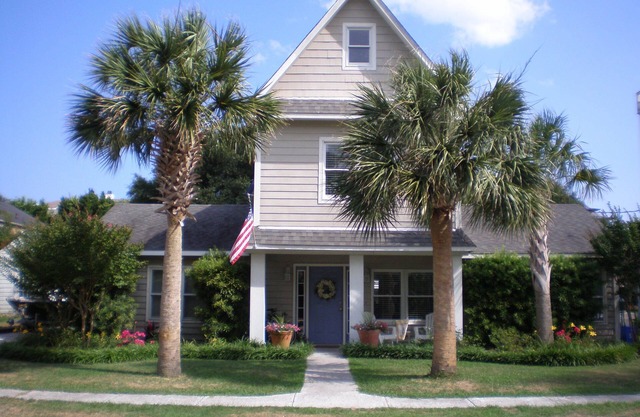 🏝DOG FRIENDLY SUMMER and FALL VACATION Isle of Palms, South Carolina 🏝️